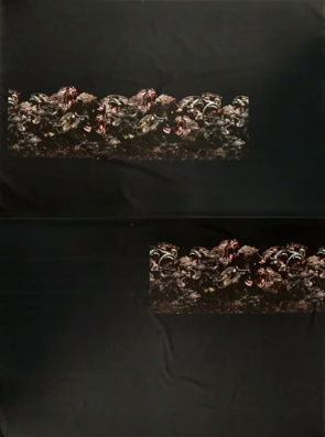 CP-6037W DESIGNER BABOON PRINT COTTON SHIRTING PANEL. GIVENCHY. ITALY - Elliott Berman Textiles